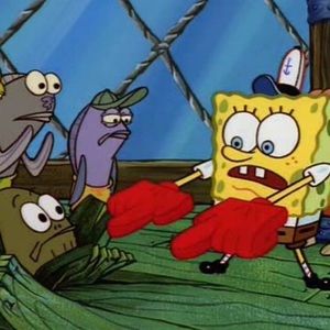 Meet your Posher, Jackson